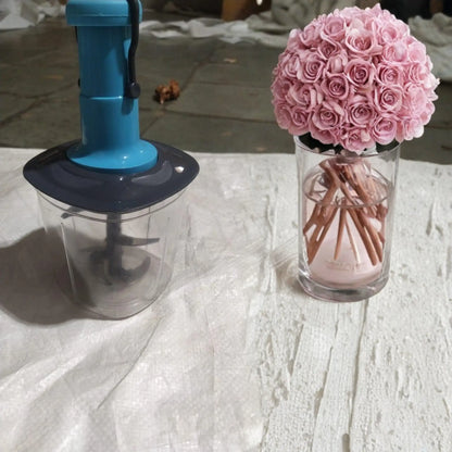 Manual Fruit and Vegetable Chopper | Onion and Veggie Cutter